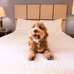 Sonesta Simply Anaheim Hotel 3*